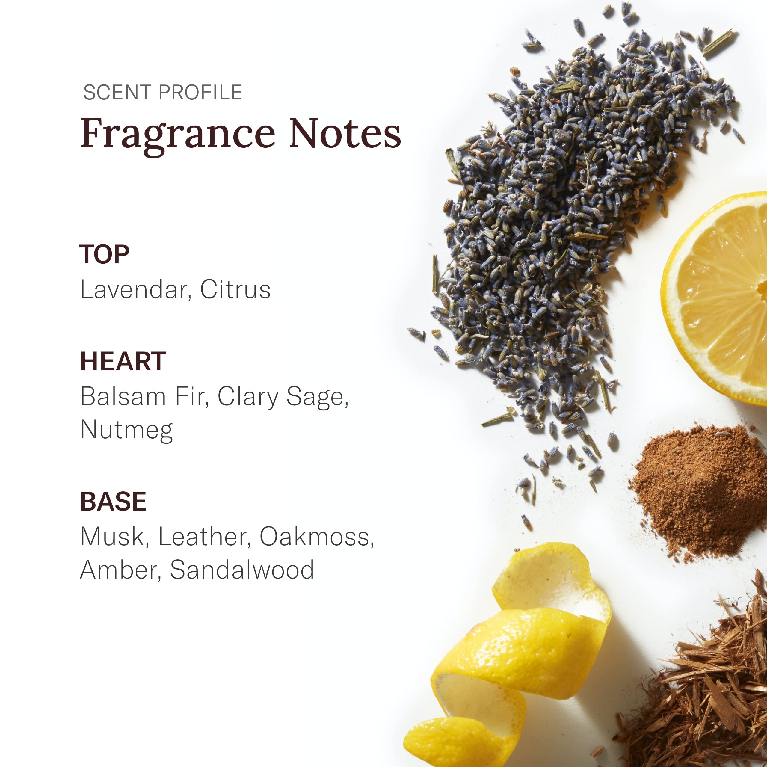 Stetson Preferred Stock Cologne Spray by Stetson Preferred Stock 2.5 Fluid Ounce